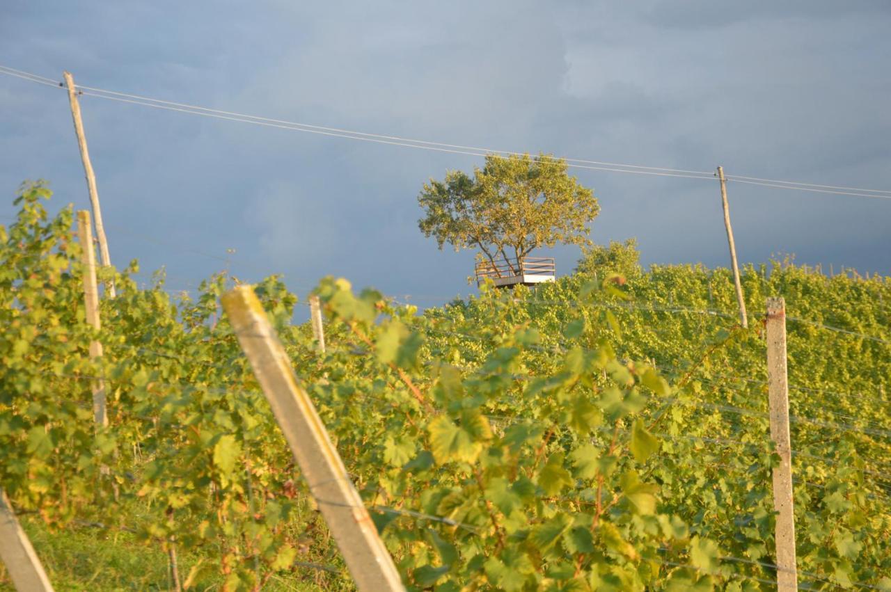 Affittacamere Hiša sonca Toti breg Svecina Esterno foto
